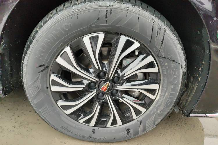 Used Hongqi HQ9 PHEV 2024 2.0T Four-Wheel Drive Luxury Edition Exterior 5