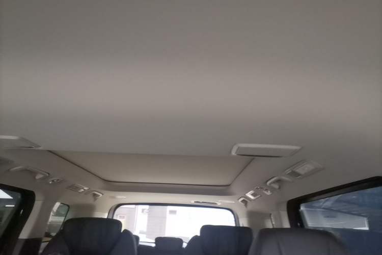 Used Hongqi HQ9 PHEV 2024 2.0T Four-Wheel Drive Luxury Edition Headliner
