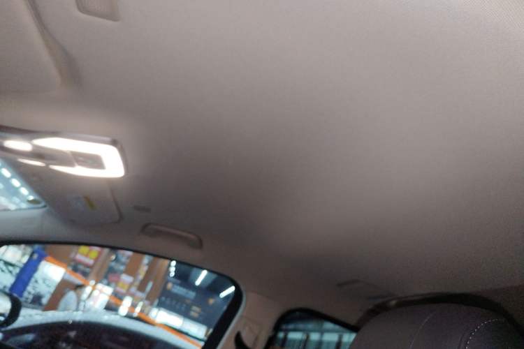 Used Hongqi HQ9 PHEV 2024 2.0T Four-Wheel Drive Luxury Edition Headliner