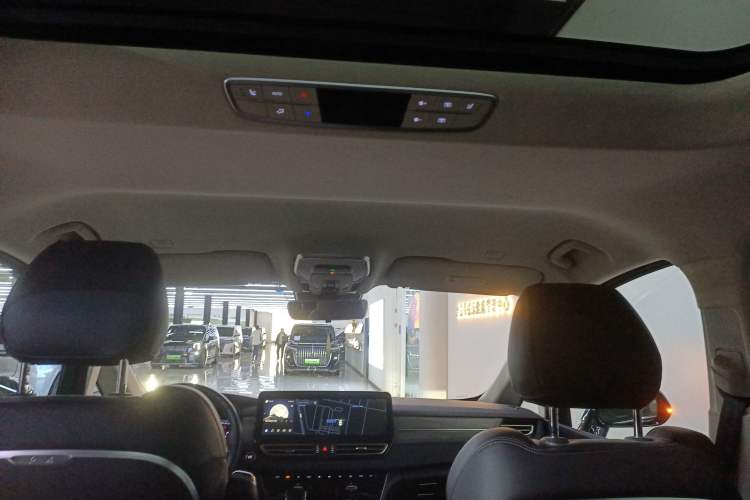 Used Hongqi HQ9 PHEV 2024 2.0T Four-Wheel Drive Business Edition Headliner