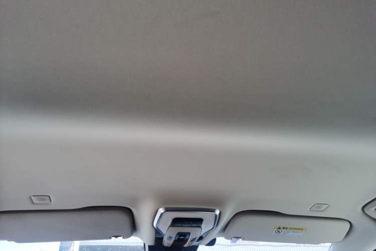 Used Hongqi HQ9 PHEV 2024 2.0T Four-Wheel Drive Business Edition Headliner