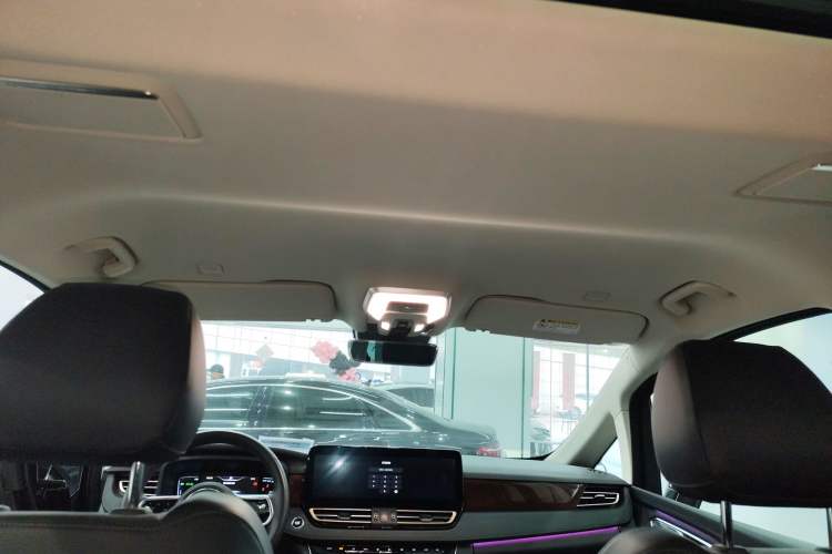 Used Hongqi HQ9 PHEV 2024 2.0T Four-Wheel Drive Luxury Edition Headliner