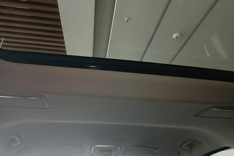 Used Hongqi HQ9 PHEV 2024 2.0T Four-Wheel Drive Luxury Edition Headliner