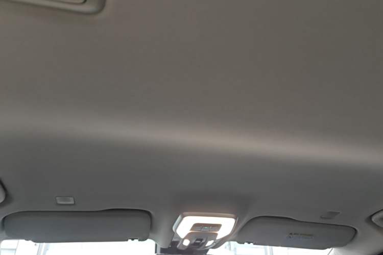 Used Hongqi HQ9 PHEV 2024 2.0T Four-Wheel Drive Luxury Edition Headliner
