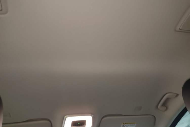 Used Hongqi HQ9 PHEV 2024 2.0T Four-Wheel Drive Luxury Edition Headliner