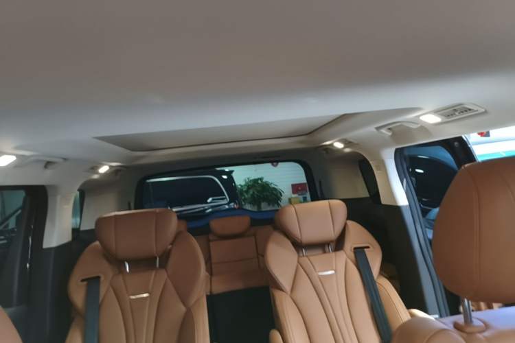 Used Hongqi HQ9 PHEV 2024 2.0T Four-Wheel Drive Business Edition Headliner