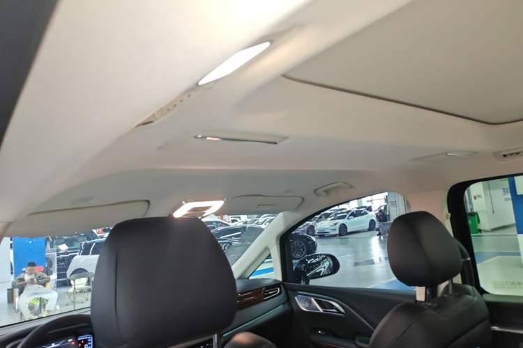 Used Hongqi HQ9 PHEV 2024 2.0T Four-Wheel Drive Luxury Edition Headliner