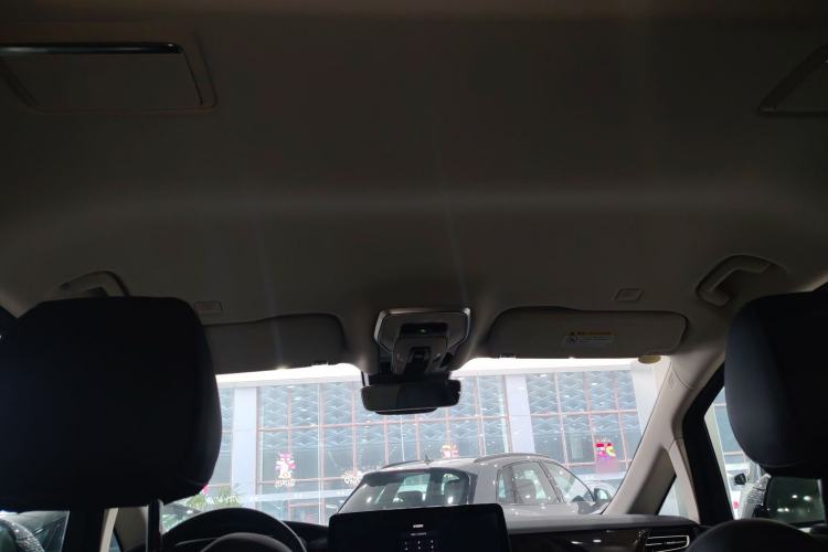 Used Hongqi HQ9 PHEV 2024 2.0T Four-Wheel Drive Luxury Edition Headliner