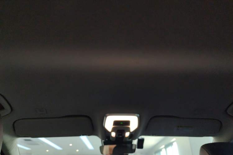 Used Hongqi HQ9 PHEV 2024 2.0T Four-Wheel Drive Luxury Edition Headliner