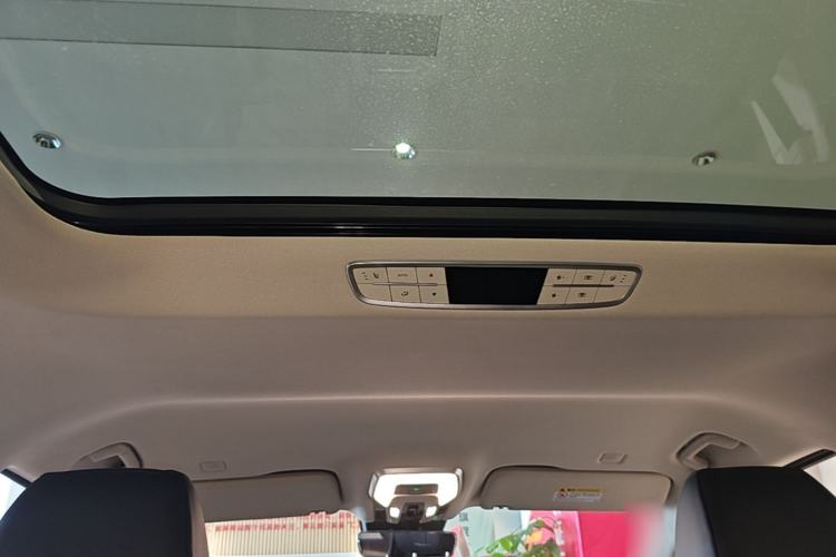 Used Hongqi HQ9 PHEV 2024 2.0T Four-Wheel Drive Business Edition Headliner
