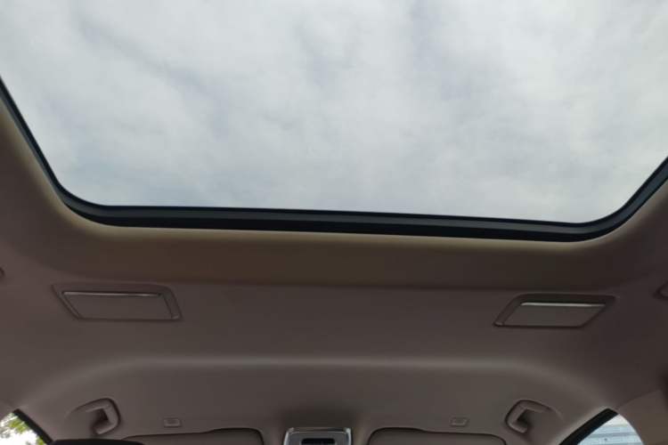 Used Hongqi HQ9 PHEV 2024 2.0T Four-Wheel Drive Luxury Edition Headliner