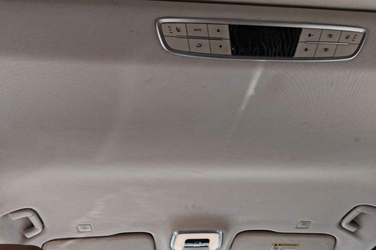 Used Hongqi HQ9 PHEV 2024 2.0T Four-Wheel Drive Business Edition Headliner