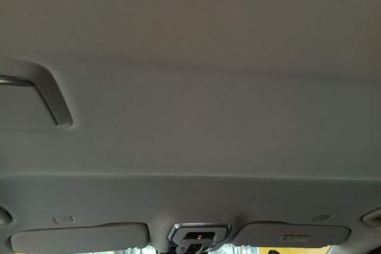 Used Hongqi HQ9 PHEV 2024 2.0T Four-Wheel Drive Luxury Edition Headliner