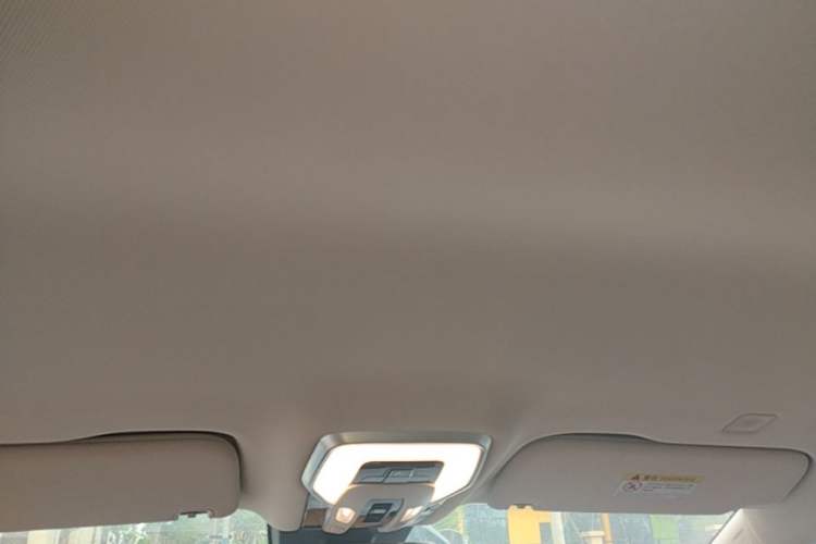 Used Hongqi HQ9 PHEV 2024 2.0T Four-Wheel Drive Business Edition Headliner