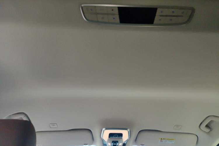 Used Hongqi HQ9 PHEV 2024 2.0T Four-Wheel Drive Business Edition Headliner