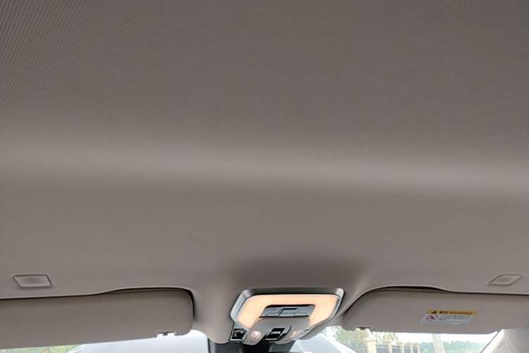 Used Hongqi HQ9 PHEV 2024 2.0T Four-Wheel Drive Business Edition Headliner