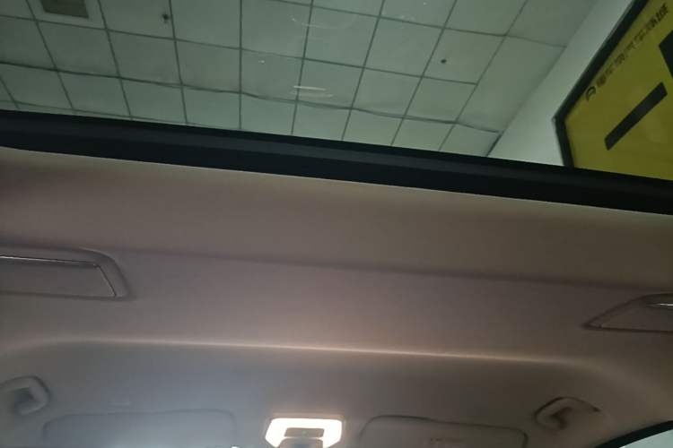 Used Hongqi HQ9 PHEV 2024 2.0T Four-Wheel Drive Luxury Edition Headliner