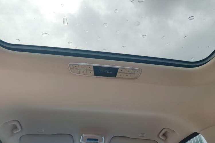 Used Hongqi HQ9 PHEV 2024 2.0T Four-Wheel Drive Business Edition Headliner