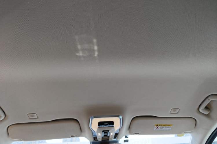 Used Hongqi HQ9 PHEV 2024 2.0T Four-Wheel Drive Business Edition Headliner