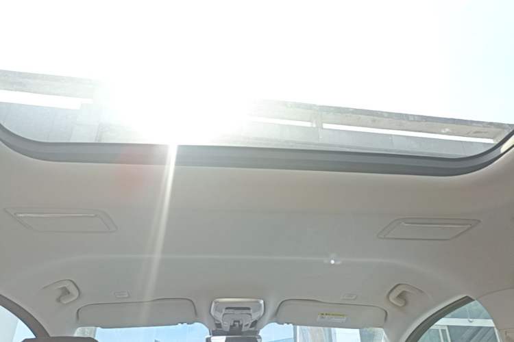 Used Hongqi HQ9 PHEV 2024 2.0T Four-Wheel Drive Luxury Edition Headliner