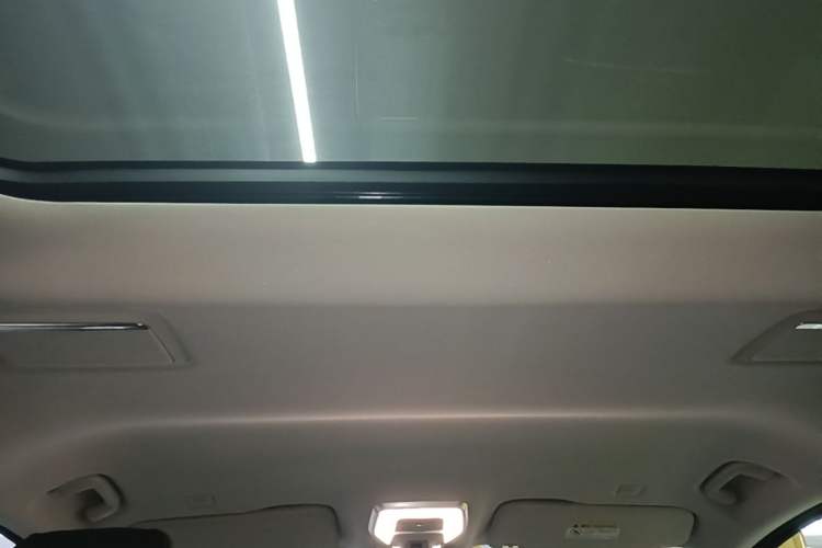 Used Hongqi HQ9 PHEV 2024 2.0T Four-Wheel Drive Luxury Edition Headliner