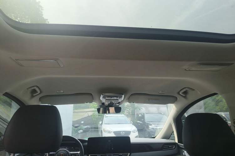 Used Hongqi HQ9 PHEV 2024 2.0T Four-Wheel Drive Luxury Edition Headliner
