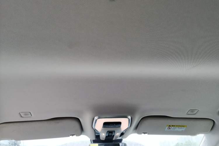 Used Hongqi HQ9 PHEV 2024 2.0T Four-Wheel Drive Business Edition Headliner