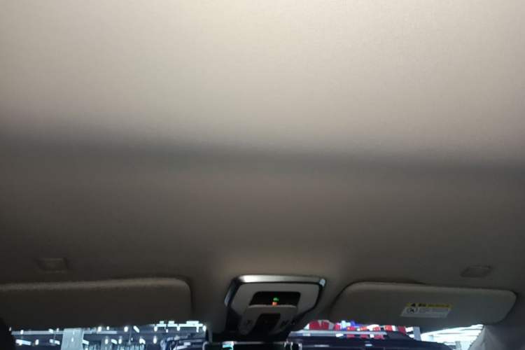 Used Hongqi HQ9 PHEV 2024 2.0T Four-Wheel Drive Luxury Edition Headliner