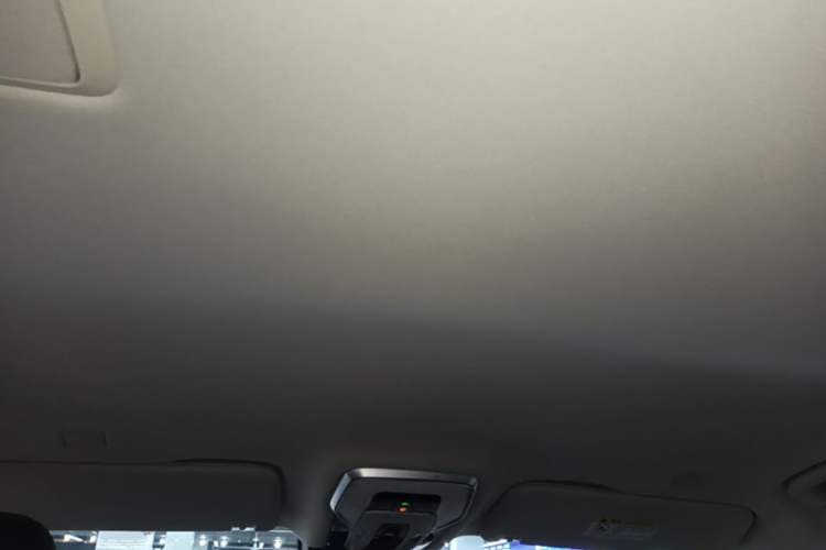 Used Hongqi HQ9 PHEV 2024 2.0T Four-Wheel Drive Luxury Edition Headliner