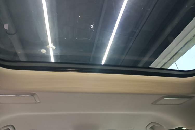 Used Hongqi HQ9 PHEV 2024 2.0T Four-Wheel Drive Luxury Edition Headliner