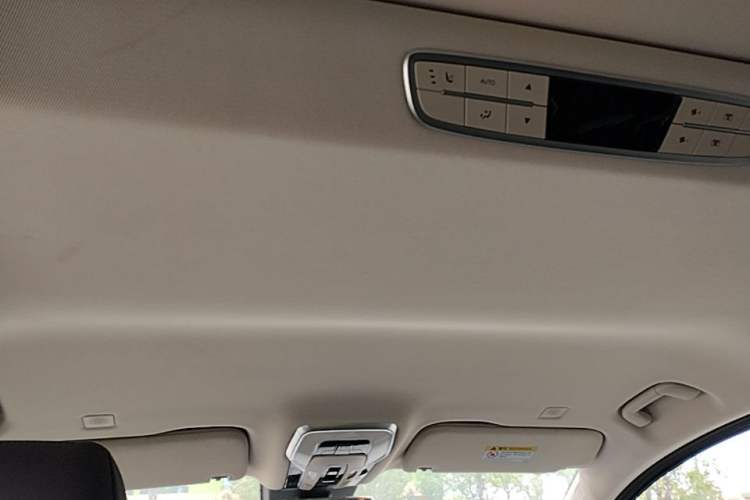 Used Hongqi HQ9 PHEV 2024 2.0T Four-Wheel Drive Business Edition Headliner