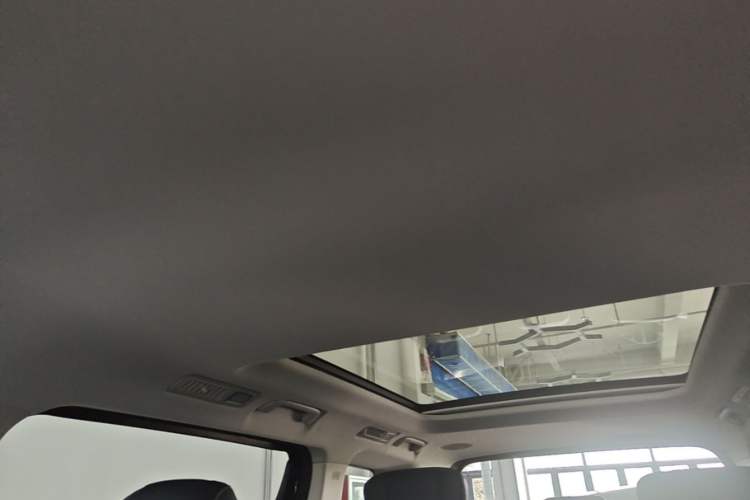 Used Hongqi HQ9 PHEV 2024 2.0T Four-Wheel Drive Business Edition Headliner