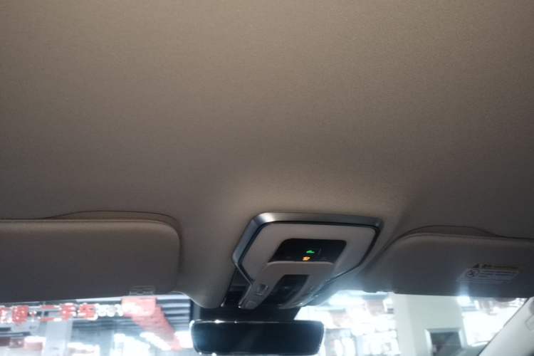 Used Hongqi HQ9 PHEV 2024 2.0T Four-Wheel Drive Luxury Edition Headliner