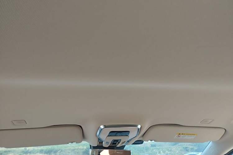 Used Hongqi HQ9 PHEV 2024 2.0T Four-Wheel Drive Business Edition Headliner
