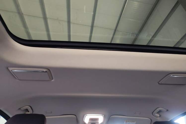 Used Hongqi HQ9 PHEV 2024 2.0T Four-Wheel Drive Luxury Edition Headliner