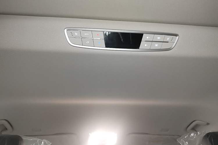 Used Hongqi HQ9 PHEV 2024 2.0T Four-Wheel Drive Business Edition Headliner