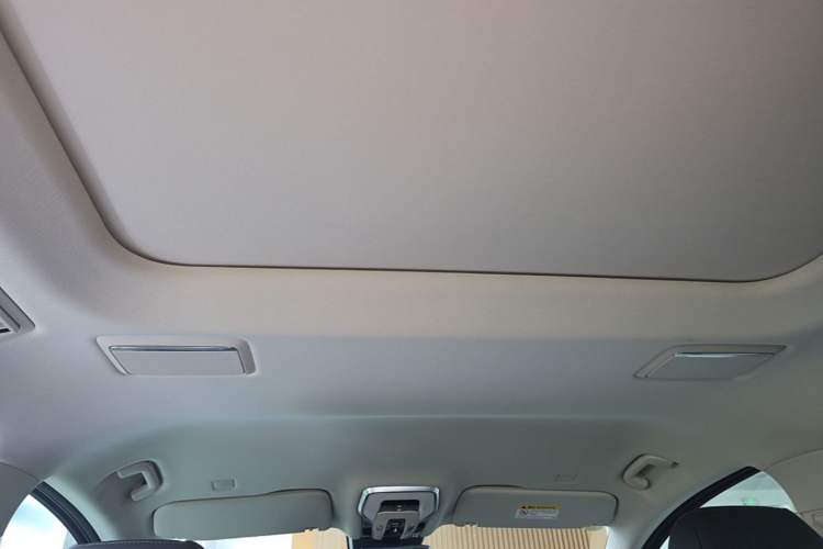 Used Hongqi HQ9 PHEV 2024 2.0T Four-Wheel Drive Luxury Edition Headliner