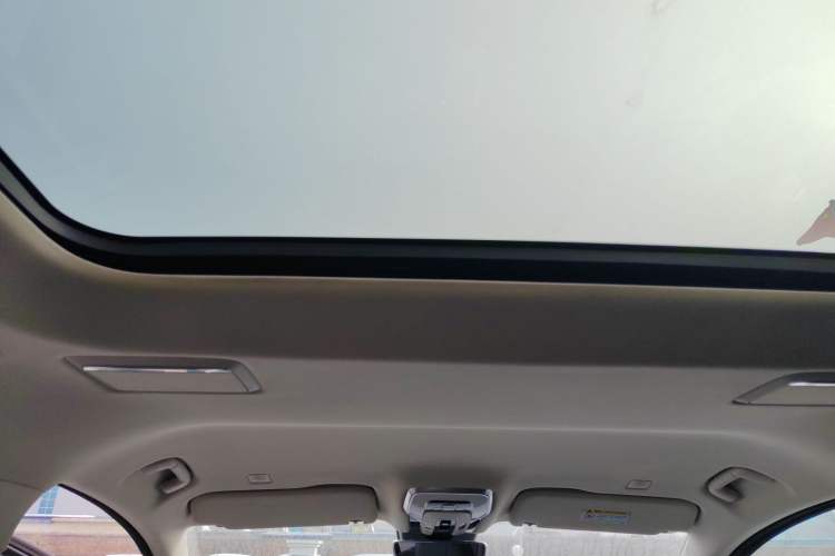 Used Hongqi HQ9 PHEV 2024 2.0T Four-Wheel Drive Luxury Edition Headliner