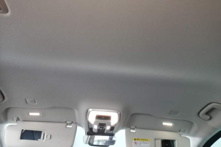 Used Hongqi HQ9 PHEV 2024 2.0T Four-Wheel Drive Luxury Edition Headliner