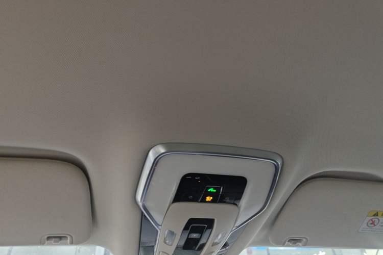 Used Hongqi HQ9 PHEV 2024 2.0T Four-Wheel Drive Business Edition Headliner