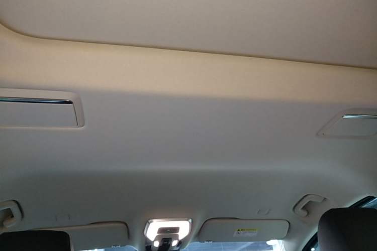 Used Hongqi HQ9 PHEV 2024 2.0T Four-Wheel Drive Luxury Edition Headliner