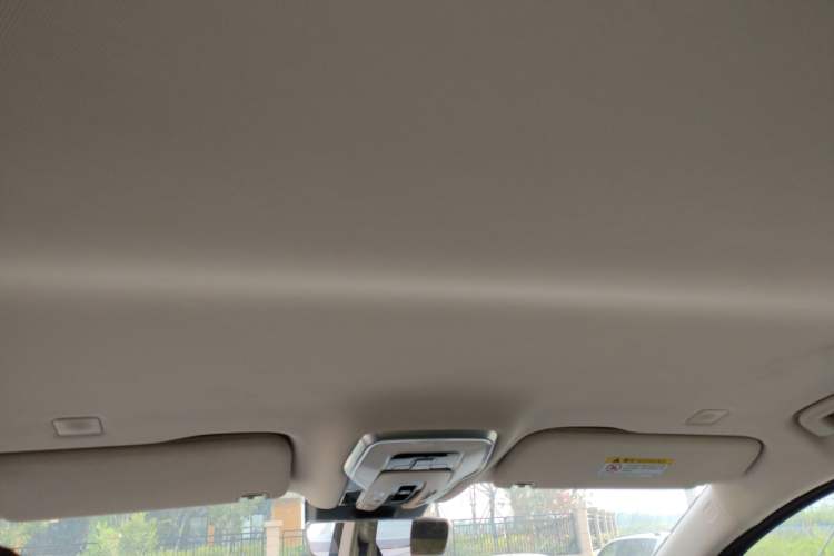 Used Hongqi HQ9 PHEV 2024 2.0T Four-Wheel Drive Business Edition Headliner