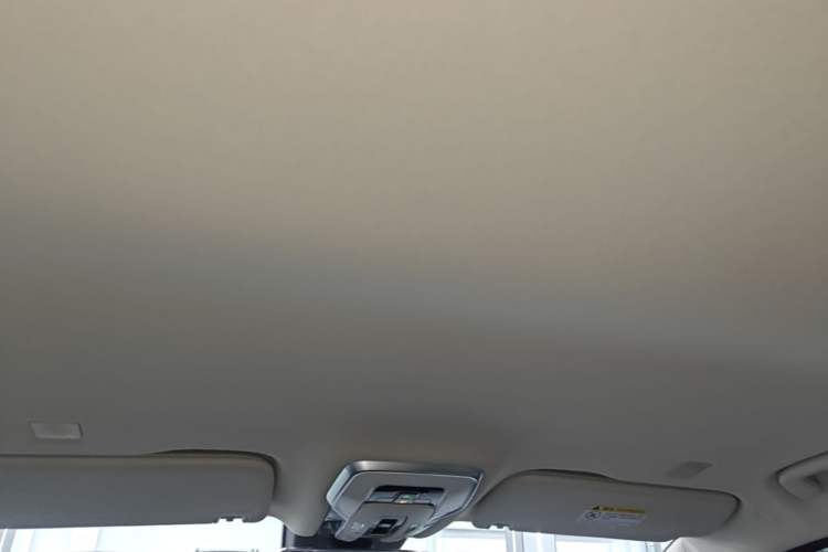 Used Hongqi HQ9 PHEV 2024 2.0T Four-Wheel Drive Luxury Edition Headliner
