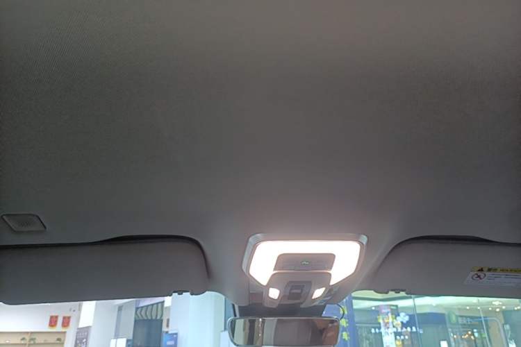 Used Hongqi HQ9 PHEV 2024 2.0T Four-Wheel Drive Business Edition Headliner