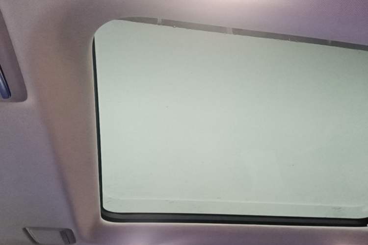 Used Hongqi HQ9 PHEV 2024 2.0T Four-Wheel Drive Luxury Edition Headliner