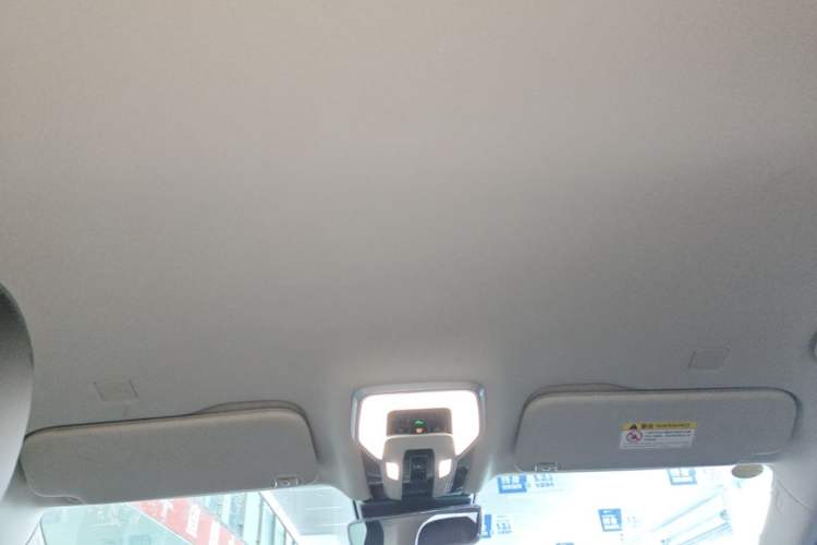 Used Hongqi HQ9 PHEV 2024 2.0T Four-Wheel Drive Luxury Edition Headliner