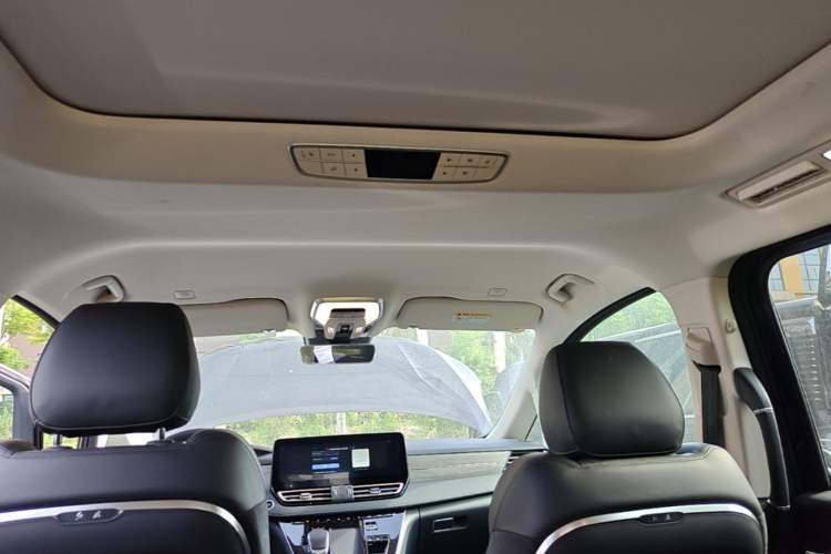 Used Hongqi HQ9 PHEV 2024 2.0T Four-Wheel Drive Business Edition Headliner
