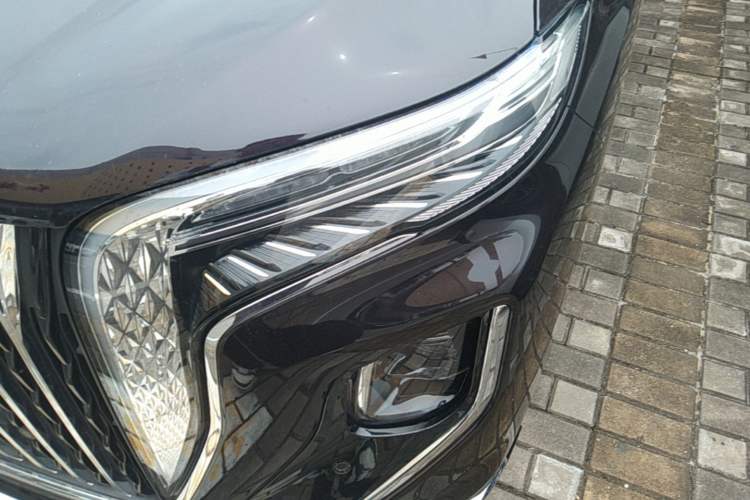 Used Hongqi HQ9 PHEV 2024 2.0T Four-Wheel Drive Luxury Edition Left Front Headlight