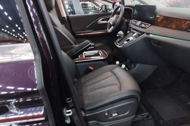 Used Hongqi HQ9 PHEV 2024 2.0T Four-Wheel Drive Luxury Edition Right Front Seat