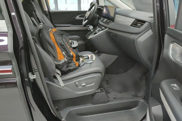 Used Hongqi HQ9 PHEV 2024 2.0T Four-Wheel Drive Business Edition Right Front Seat